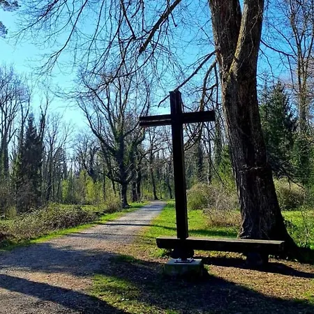 Zanier * Gaissau (Bregenz)