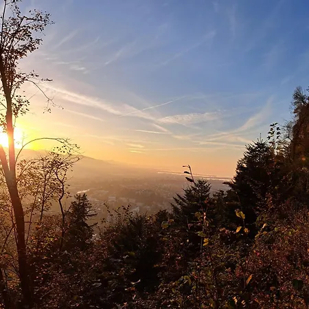 Zanier * Gaissau (Bregenz)