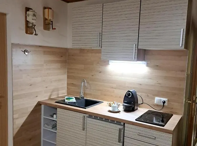 Apartment Zanier Gaissau (Bregenz)