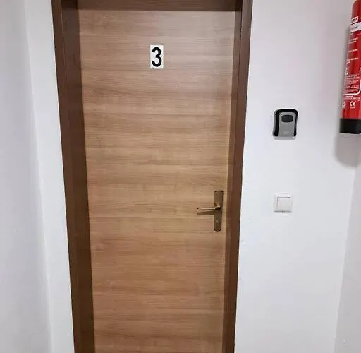 Zanier * Gaissau (Bregenz)