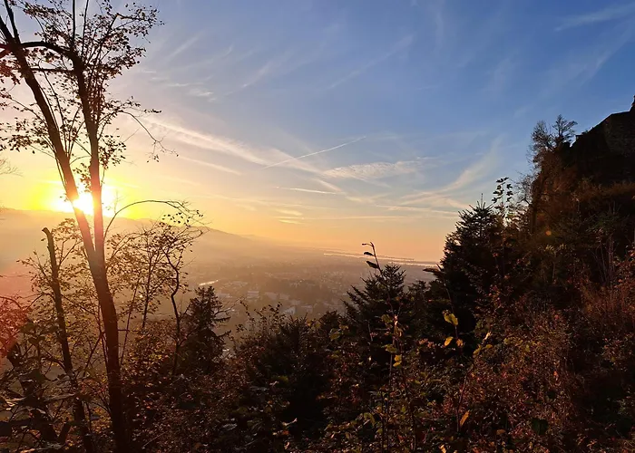 Zanier * Gaissau (Bregenz)